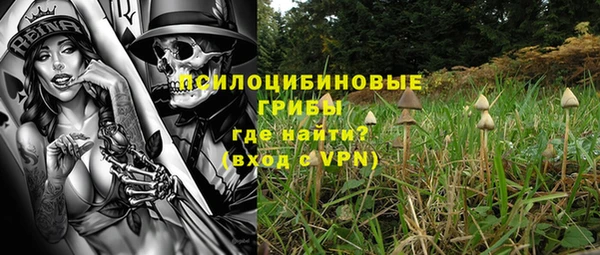 spice Заводоуковск