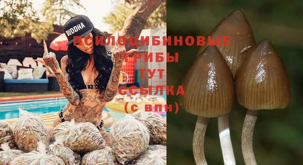 spice Заводоуковск
