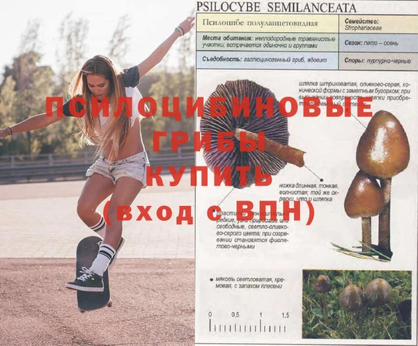 дурь Заволжск