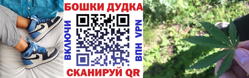 Бошки марихуана марихуана  Купить закладки  Ивангород 